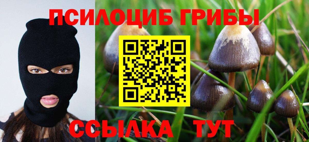 закладки  Галлюциногенные грибы Magic Shrooms  Вход с VPN  Балтийск 