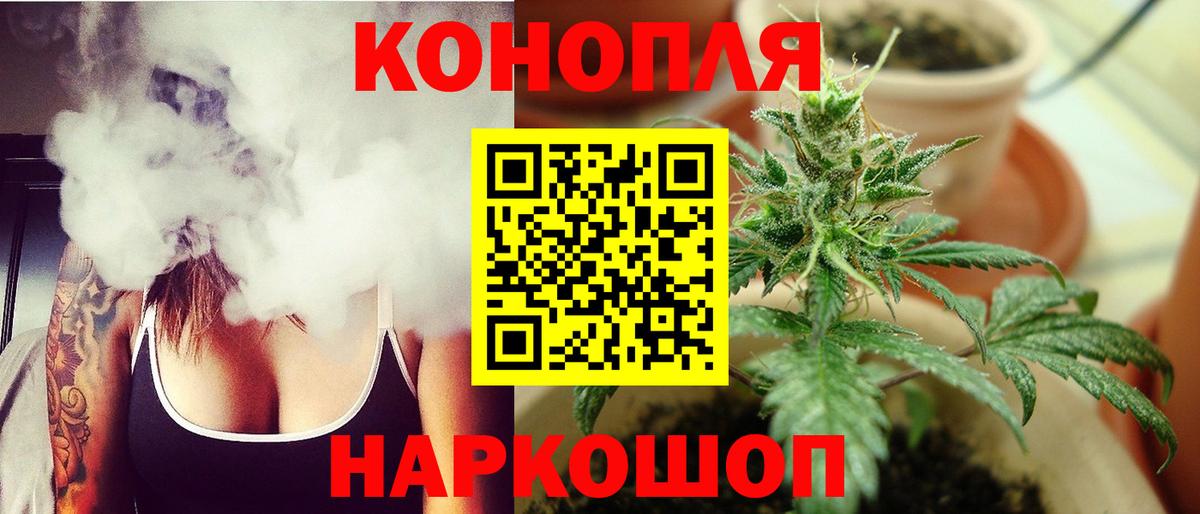 Марихуана гибрид Балтийск